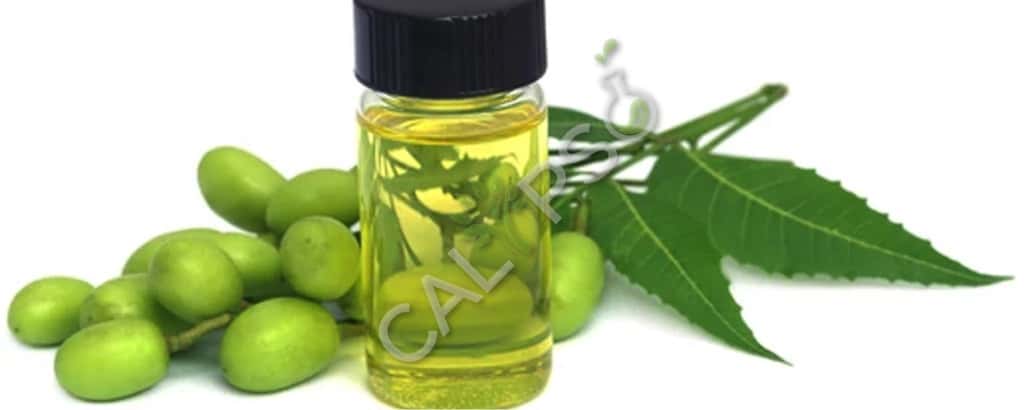 Koop 100% pure neem drager etherische olie voor de huid
